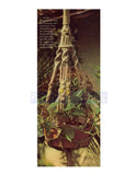 Vintage 70s Macrame Adobe Plant Hanger Pattern Instant Download PDF 2 + 2 pages