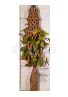 Vintage 70s "Luminaria" Macrame Plant Hanger Pattern Instant Download PDF 1 + 2 pages