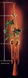 Vintage 70s Macrame "Orange Marmalade" Plant Hanger Pattern Instant Download PDF 2 + 3 pages