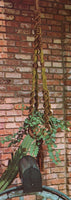 Macrame Hang-ups - Vintage Macrame Plant Hanger Patterns Instant Download PDF 24 pages