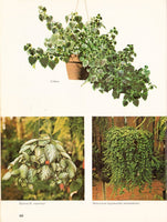 Hanging Gardens - Vintage 70s Ideas For Hanging Plants Instant Download PDF 82 pages