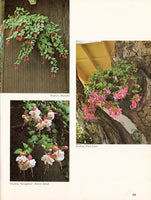 Hanging Gardens - Vintage 70s Ideas For Hanging Plants Instant Download PDF 82 pages